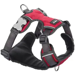 Harnais Chien Red Dingo Rembourré Rouge Taille : T5 - Red Dingo pas cher