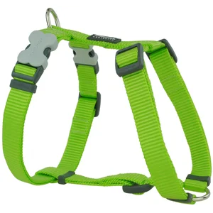 Chadog - Harnais chien réglable Red Dingo Basic Vert Taille : T3