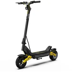 Trottinette Électrique iENYRID ES1 Moteur 2*W 1200 Batterie 48V 20.8A... pas cher
