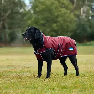 Weatherbeeta Comfitec Premier Deluxe Waterproof Dog Coat 80 pas cher