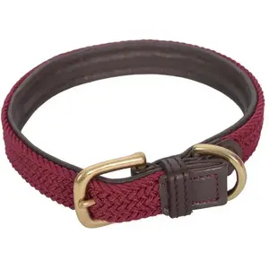 Collier pour chien en cuir tressé Weatherbeeta TU pas cher