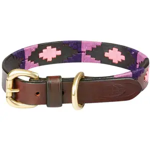 Collier pour chien en cuir Weatherbeeta Polo Marron XS 1001699020 pas cher