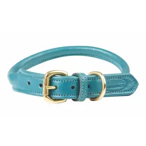 Comparateur de prix : Collier pour chien en cuir roulé Weatherbeeta Vert L 1001694019