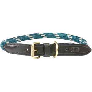 Weatherbeeta - Laisse - Chien (M) (Vert / marron) - UTWB1342 pas cher
