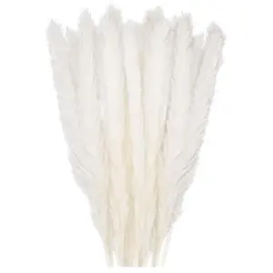 UGREAT 30 pcs Herbe de la Pampa, 58 cm Naturel Pampa Fleur Bouquet de Fleurs Sechees pour Vases, Blanc Boho Decoration Chambre Maison Salon, Mariage