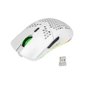 Comparateur de prix : HXSJ T66 RGB 2.4G souris de jeu sans fil RGB éclairage de charge souri...
