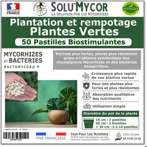 SoluMycor 50 Pastilles Bio-stimulantes engrais pour Plantation et Rempotage de Plantes Vertes - Développement racinaireVendu parcdiscount