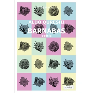 Barnabas Aldo Qureshi
