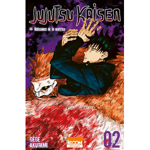 Comparateur de prix : Ki-oon Jujutsu Kaisen Tome 2