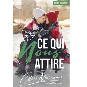 Noël Au Royaume D'ufrington - Tome 3, Ce Qui Nous Attire