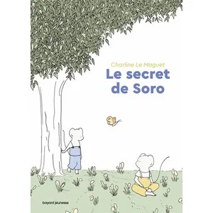 Bayard jeunesse Le secret de Soro pas cher