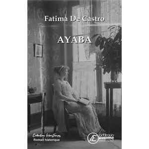 Comparateur de prix : Ex Aequo Ayaba