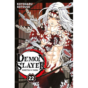 Panini Manga Demon Slayer T22 pas cher