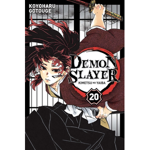 Panini Manga Demon Slayer T20 pas cher