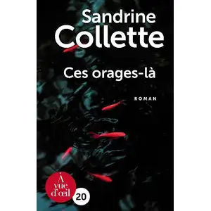A Vue D'oeil Ces orages-là pas cher