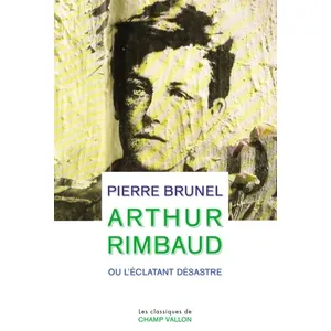 Champ Vallon Arthur rimbaud ou l'eclatant desastre pas cher