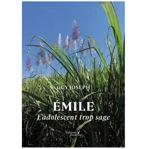 Baudelaire Émile broché pas cher
