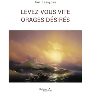Baudelaire Levez-vous vite orages désirés Tom Benayoun pas cher