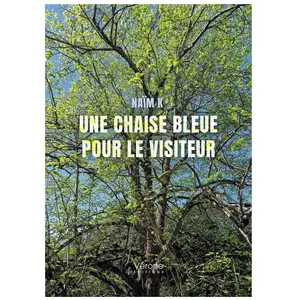 Une chaise bleue pour le visiteur broché pas cher