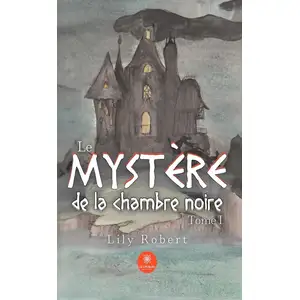 Le mystère de la chambre noire pas cher