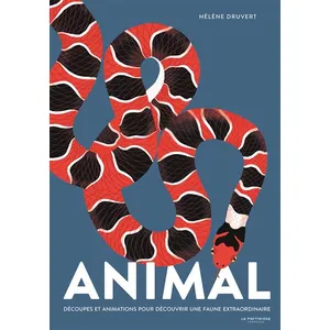 Livres enfant : Animal pas cher