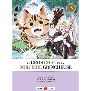 Comparateur de prix : Bamboo Editions Le Gros Chat et la Sorcière grincheuse - vol. 03