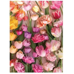 Galison Puzzle 1000 pièces : Tulipes Ephémères pas cher