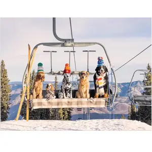 Galison Puzzle 1000 pièces : Chiens d'Aspen pas cher