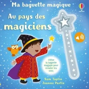Usborne Au Pays Des Magiciens pas cher