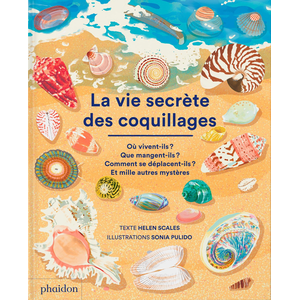 Phaidon Jeunesse La vie secrète des coquillages pas cher