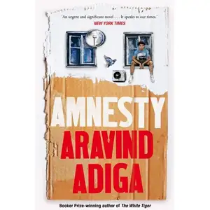 Palgrave Macmillan Amnesty