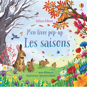 Usborne Les saisons - Mon livre pop-up pas cher