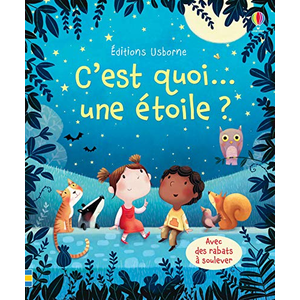 Usborne C'est quoi... une étoile ? pas cher