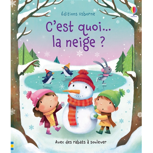 Usborne C'est quoi... la neige ? pas cher