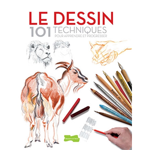 Dessain Et Tolra Le dessin 101 techniques - Pour apprendre et progresser pas cher