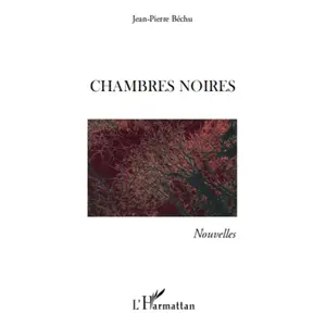 Chambres noires Jean-Pierre Béchu pas cher
