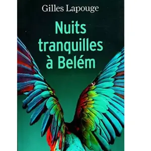 Nuits tranquilles à Belèm - Gilles Lapouge pas cher