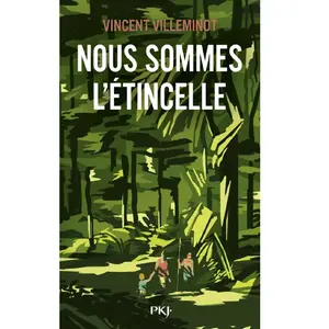 Comparateur de prix : Pocket Jeunesse Nous Sommes L'étincelle