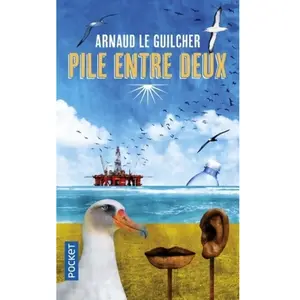 Pocket Pile entre deux Arnaud Le Guilcher pas cher