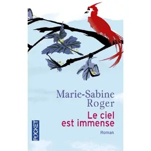 Pocket Le ciel est immense pas cher