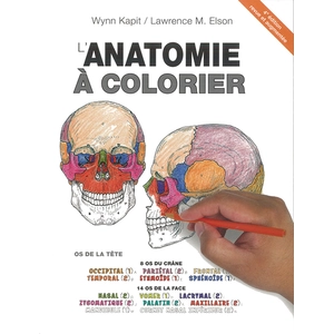 Edisem Anatomie à colorier pas cher