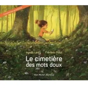 Albin Michel Jeunesse Le Cimetière des mots doux
