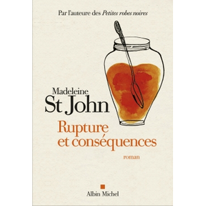 Albin Michel Rupture et conséquences pas cher