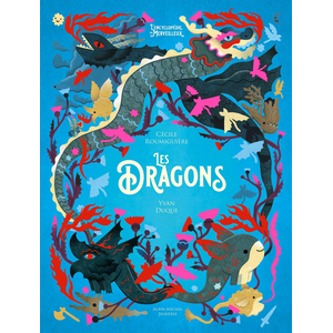 Albin Michel Jeunesse Les Dragons pas cher