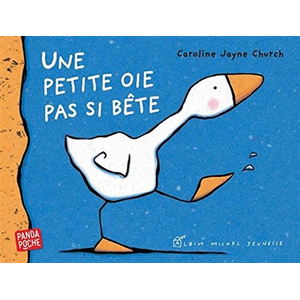 Albin Michel Une petite oie pas si bête pas cher