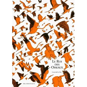 Albin Michel Jeunesse Le Roi Des Oiseaux pas cher