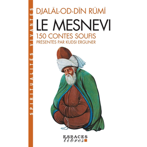Albin Michel Le Mesnevi pas cher
