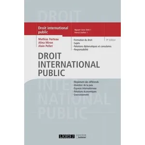 Lgdj Droit international public (9e édition) pas cher