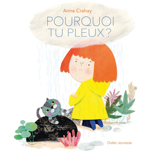 Didier Jeunesse Pourquoi tu pleux ? pas cher