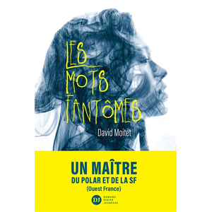 Didier Jeunesse Les Mots fantômes pas cher